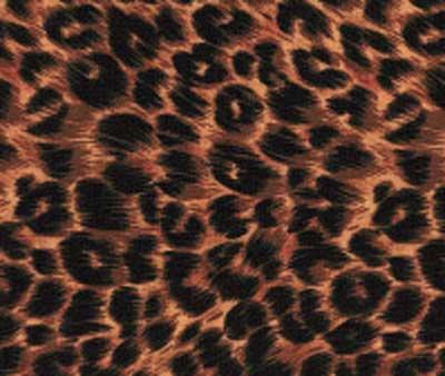 Safari Symbols Day Bed Comforters - Daybed Size Hugger