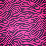 Nu Suede Zebra Hot Pink Bedding, Accessories & Room Decor