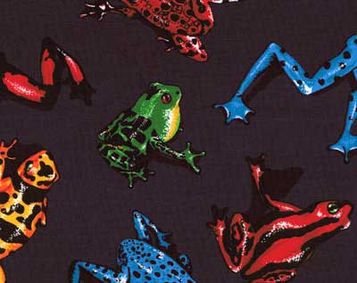 Navy Frogs Fabric