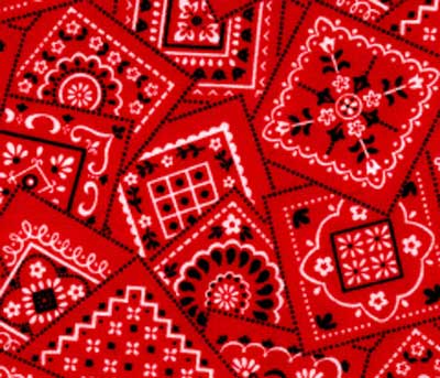 Red Bandana Fabric