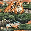 Safari Collection