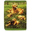 Golden Retriever Family Fleece Decorative Scenic Blankets