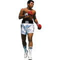 Fathead Wall Decals Boxing