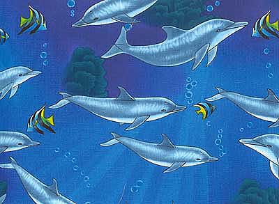 Dolphins Twin Ruffled Bed Skirt