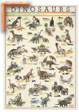Dinosaurs - Contemporary mount print with beveled edge
