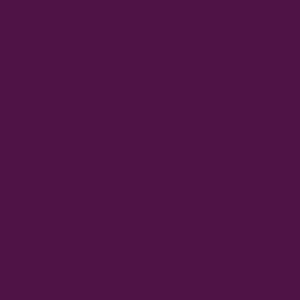 Solid Color Violet Dark Purple