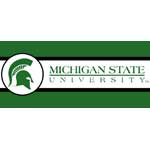 Michigan State Spartans 7" Tall Wallpaper Border