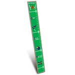 Michigan Wolverines Wooden Growth Chart
