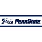 Penn State Nittany Lions 5 1/4" Tall Wallpaper Border