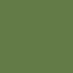 Grass Green Solid Color Fabric by the Yard