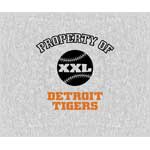 Detroit Tigers 58" x 48" "Property Of" Blanket / Throw
