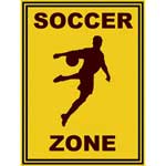 Soccer Zone - Contemporary mount print with beveled edge