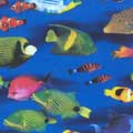 Hugger Comforter - Paradise Fish
