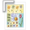 Floral Paintbox - Framed Print