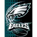 Philadelphia Eagles "Flash" 60" x 80" Super Plush Throw