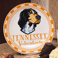 Tennessee Vols NCAA College 11" Ceramic Plate