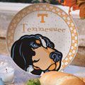 Tennessee Vols NCAA College 11" Gameday Ceramic Plate