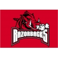 Arkansas Razorbacks NCAA College 20" x 30" Acrylic Tufted Rug