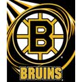 Boston Bruins 50" x 60" Super Plush Throw
