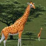 African Wildlife Bedding, Accessories & Room Decor