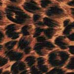 Cheetah Bedding, Accessories & Room Decor