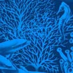 Deep Blue Sea Bedding, Accessories & Room Decor