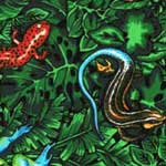 Green Geckos Bedding, Accessories & Room Decor