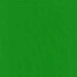Kelly Green Reverse