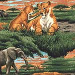 Safari Bedding, Accessories & Room Decor