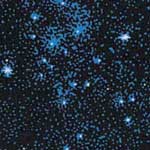 Starry nights Bedding, Accessories & Room Decor