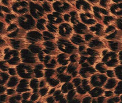 Cheetah Fabric