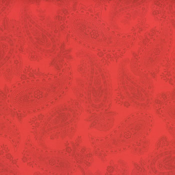 Fashion Park Paisley Fabric