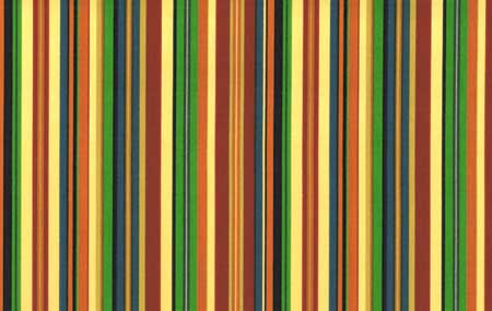 Hang Ten Stripe Fabric