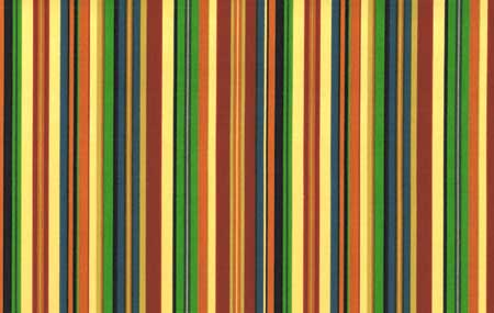 Hang Ten Stripe Fabric