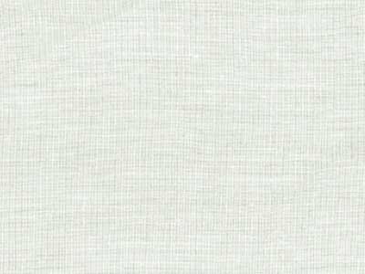 Ivory Fabric