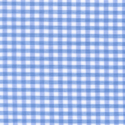 Light Blue Gingham Fabric