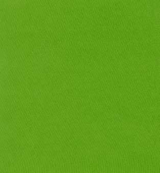 Lime Sail Cloth Fabric