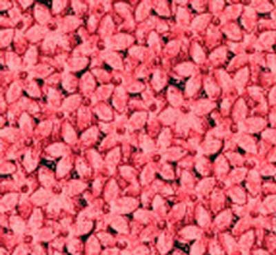 Pink Daisies Fabric