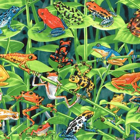 Rain Forest Frogs Fabric