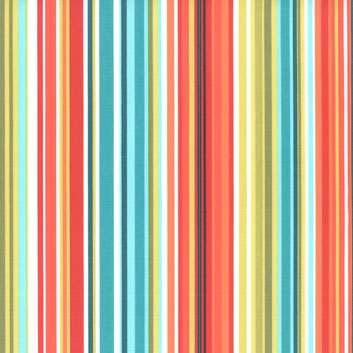 Watermelon Stripe Fabric