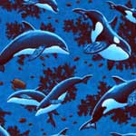 Orcas Bedding & Accessories