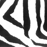 Zebra Bedding & Accessories