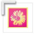 Warhol Daisy, Fuschia and Yellow