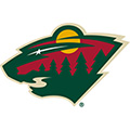 Minnesota Wild NHL Bedding & Room Decor