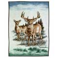 Septembers Sun Fleece Decorative Scenic Blankets