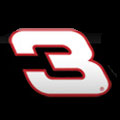 Dale Earnhardt Sr. #3 Bedding & Room Decor