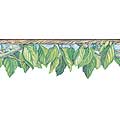 Leafy Vine Wall Border