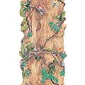 Frogs and Insects on Vined Tree Trunk Wall Border-Version A