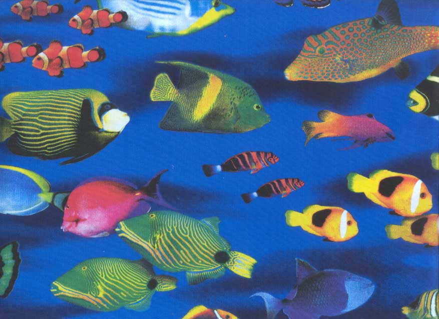 California Dream Paradise Fish - Fabric by the Yard