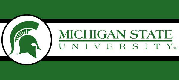 Michigan State Spartans 7 Tall Wallpaper Border